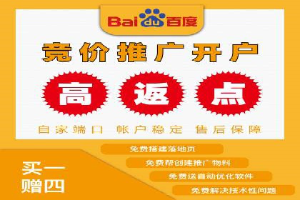 百度推广托管策略：成功企业的广告投放经验